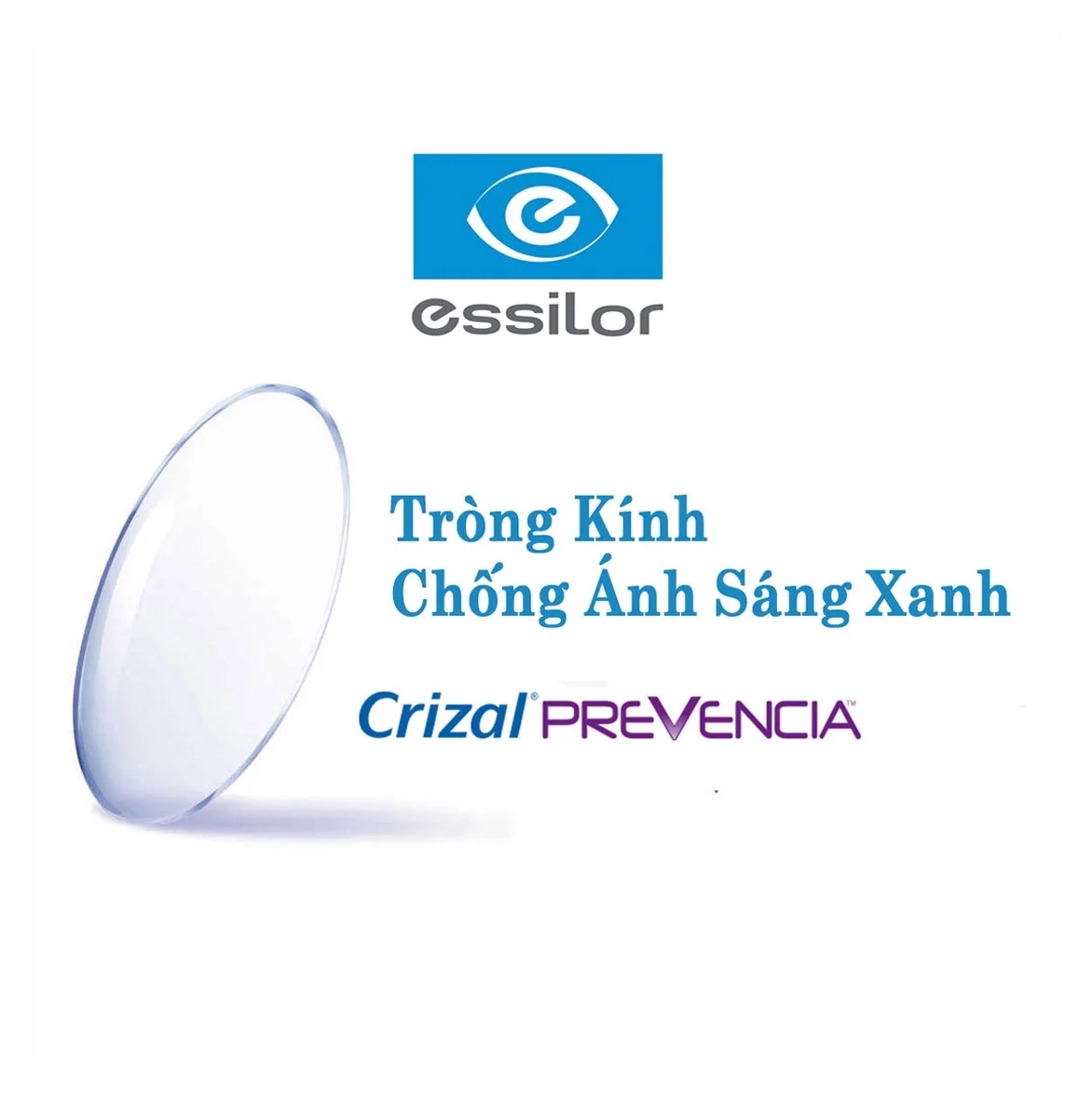 4 LOẠI TRÒNG KÍNH HOT NHẤT NĂM 2022